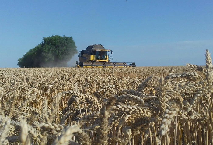Travaux agricoles